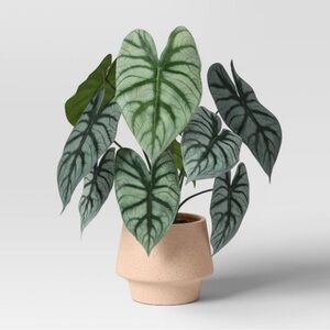 Artificial Dasheen Leaf Plant - Threshold™: Speckled Ceramic Pot